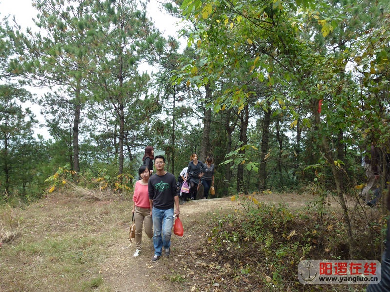 P1020125.JPG
