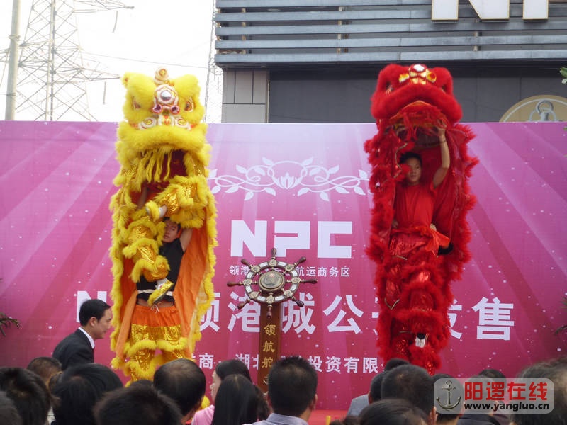 P1020453.JPG