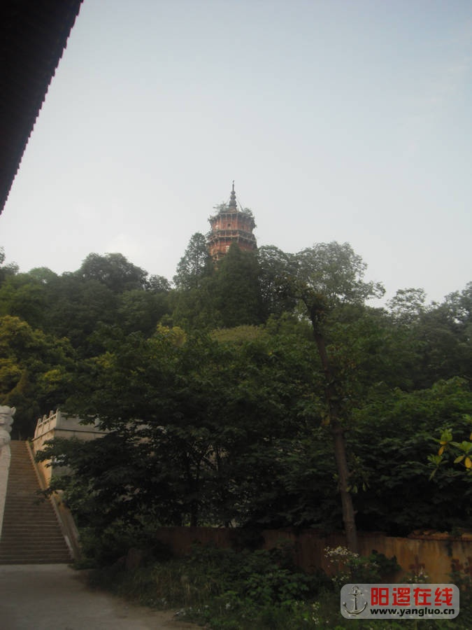 DSCF0539.JPG