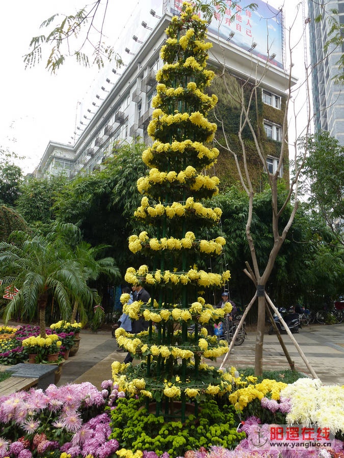 P1020754.JPG