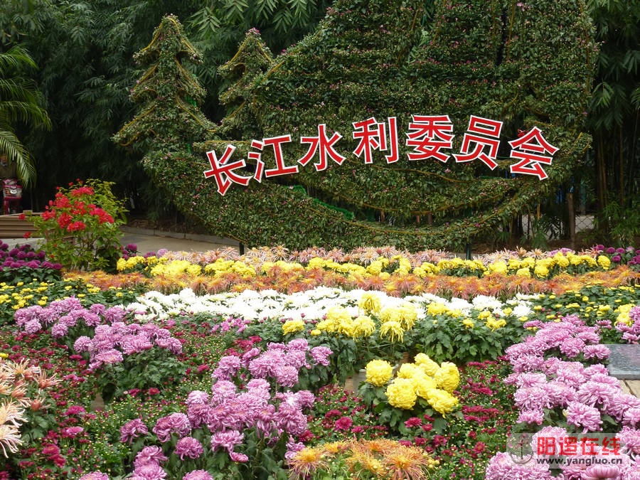 P1020755.JPG