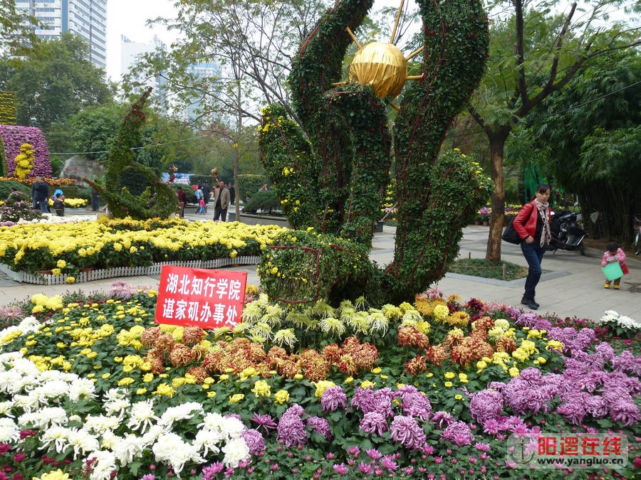 P1020763.JPG