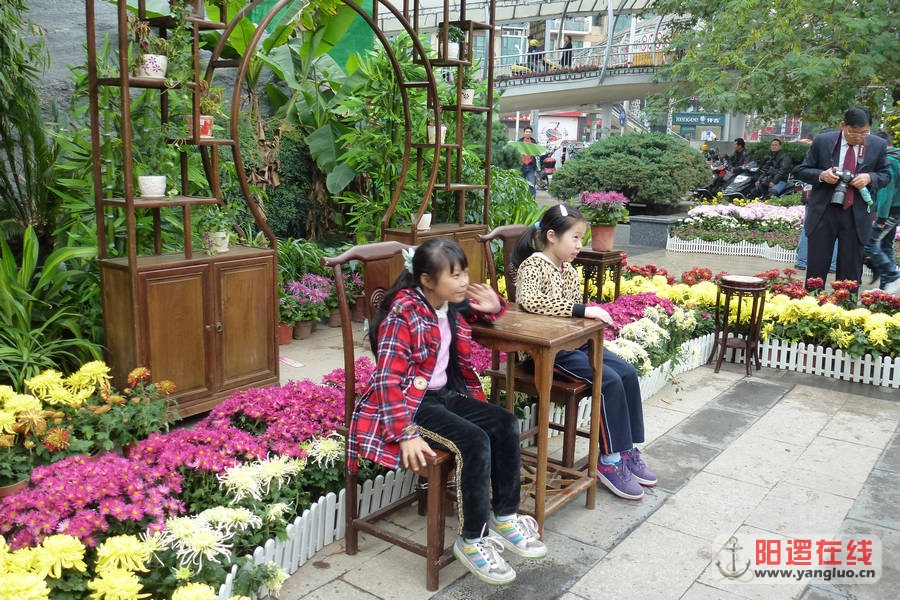 P1020787.JPG