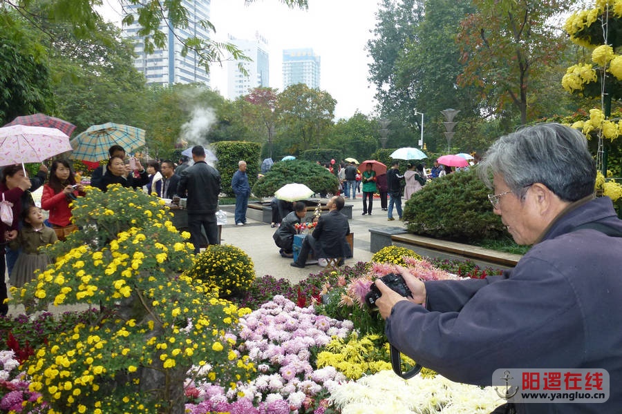 P1020799.JPG