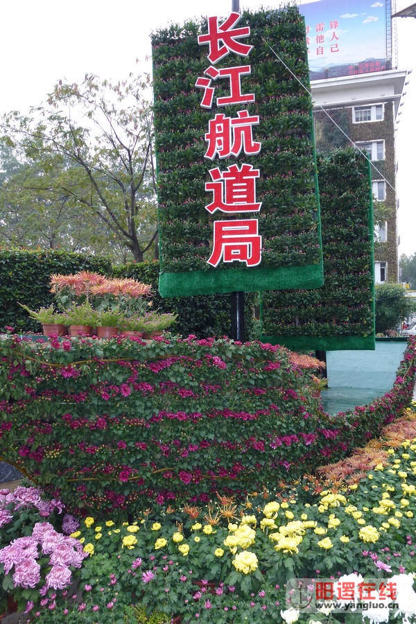 P1020816.JPG
