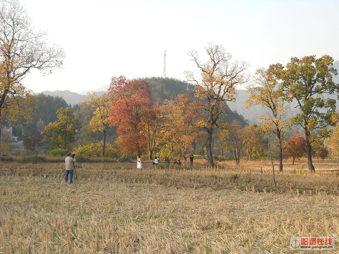 摄友1
