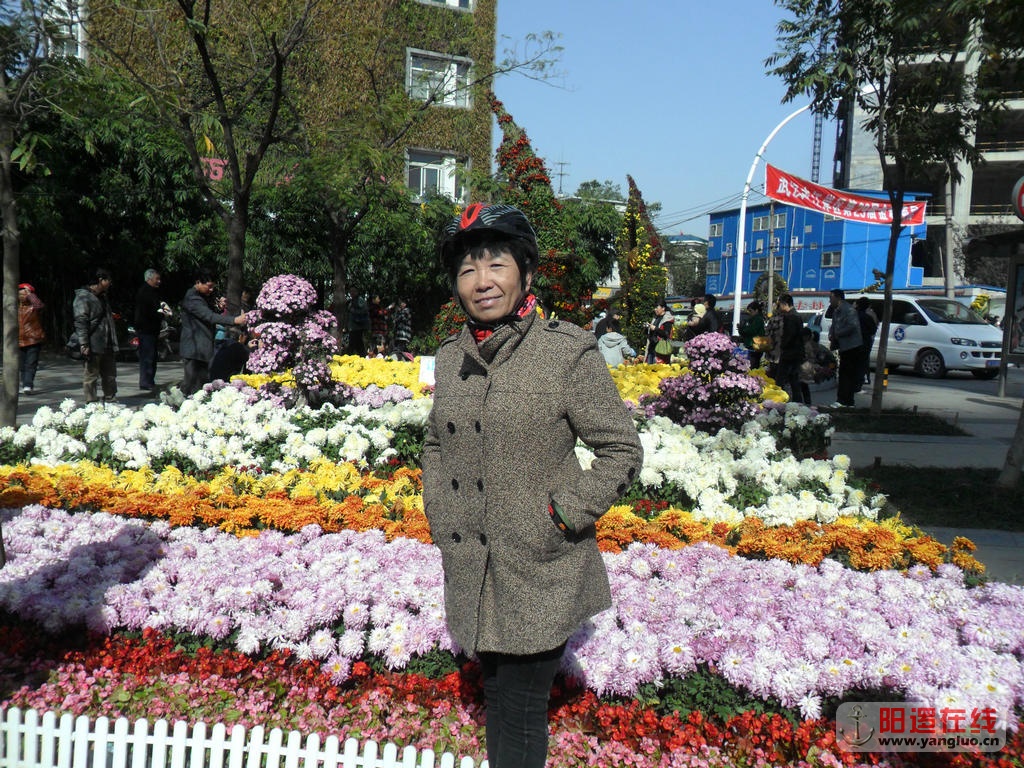 SAM_8152_1.JPG