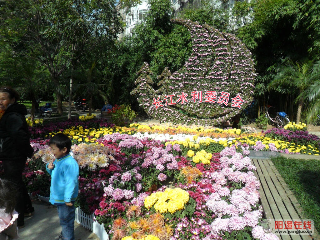 SAM_8178_1.JPG
