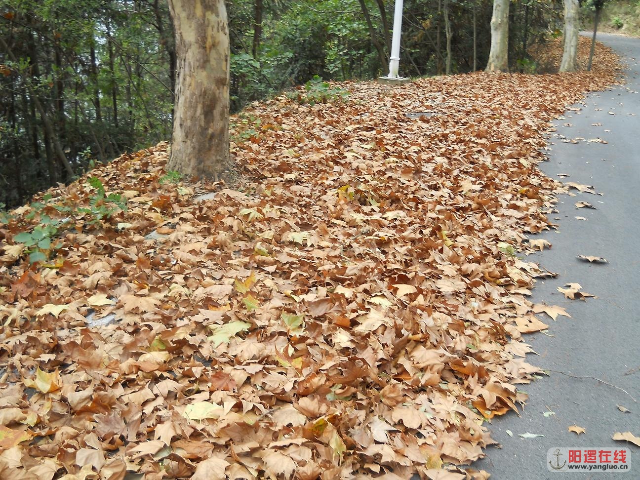 20121019 225.JPG