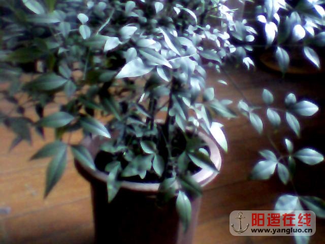 图片 001.jpg