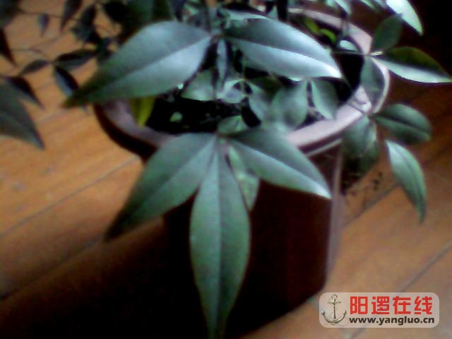 图片 003.jpg