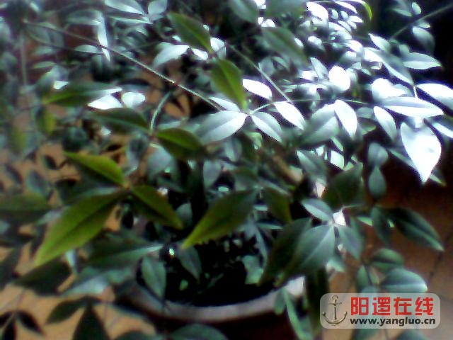 图片 002.jpg