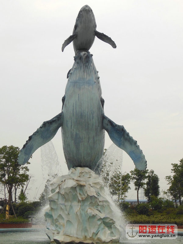 DSCN4191.jpg