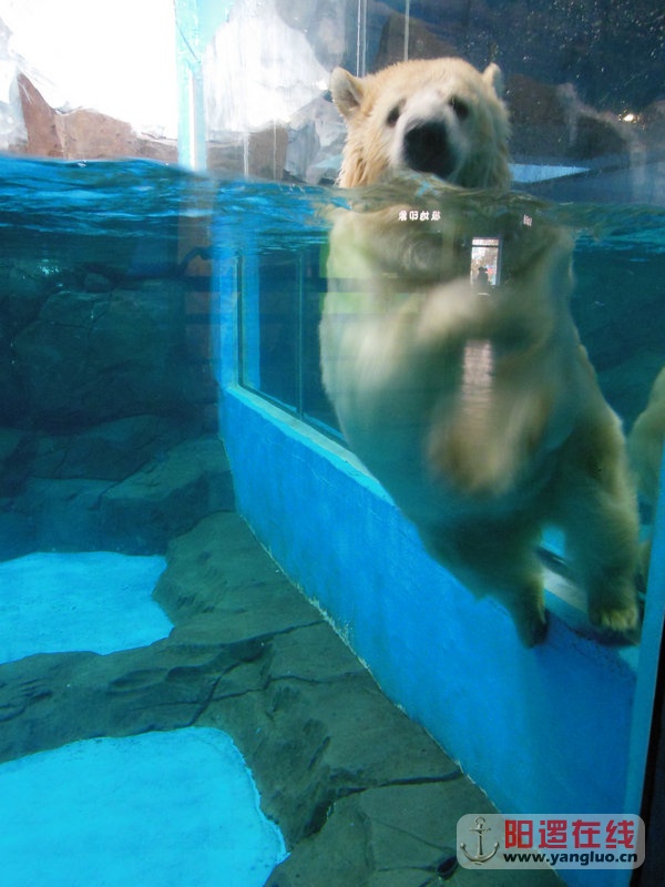 DSCN4214.jpg