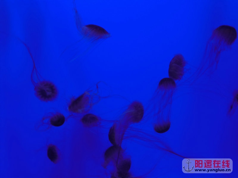 DSCN4233.jpg