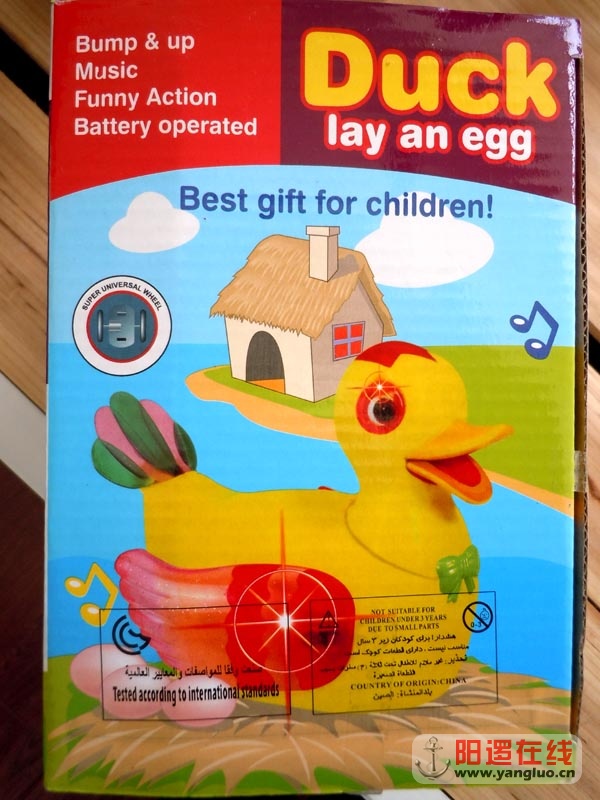 DSCN9348.jpg