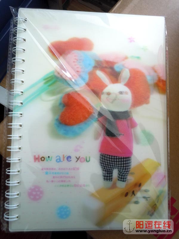 DSCN9351.jpg