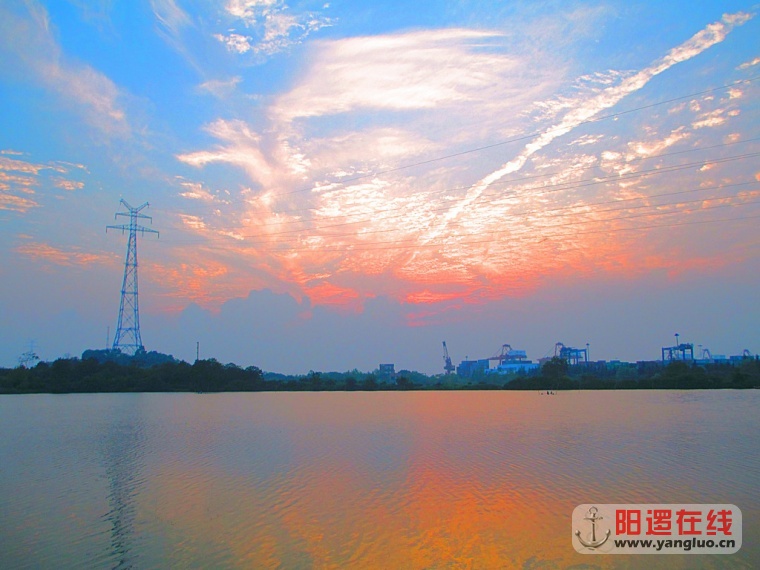 最美新洲10.jpg