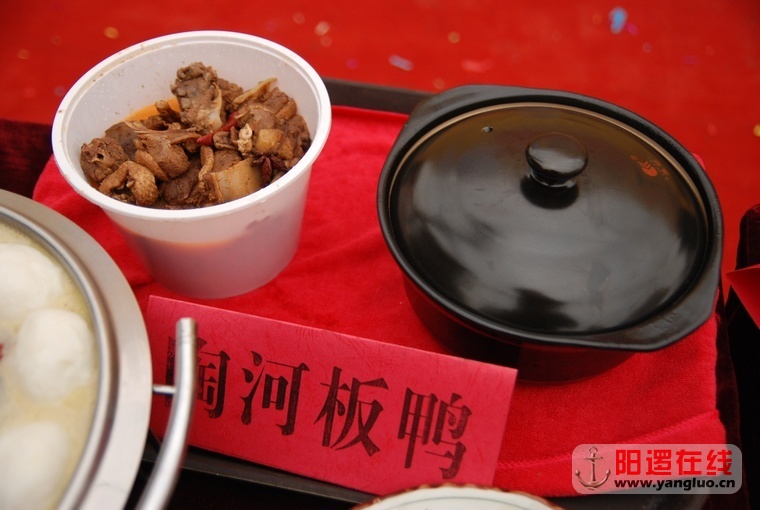 陶河板鸭