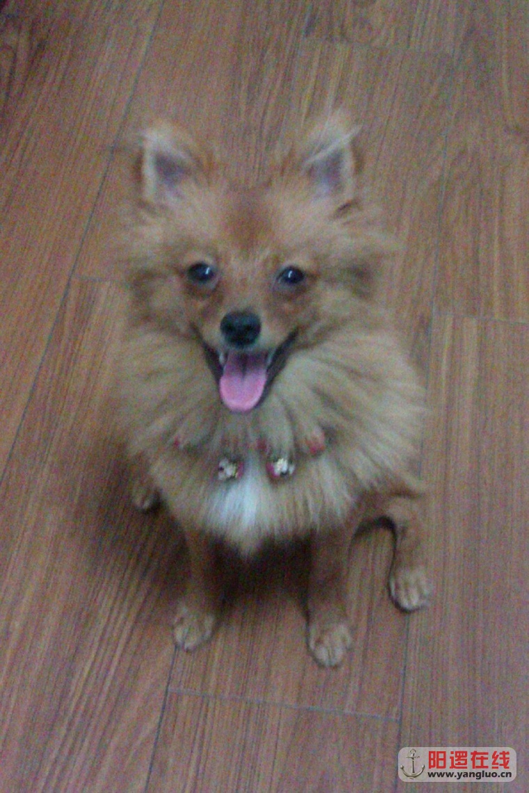 IMAG0672.jpg