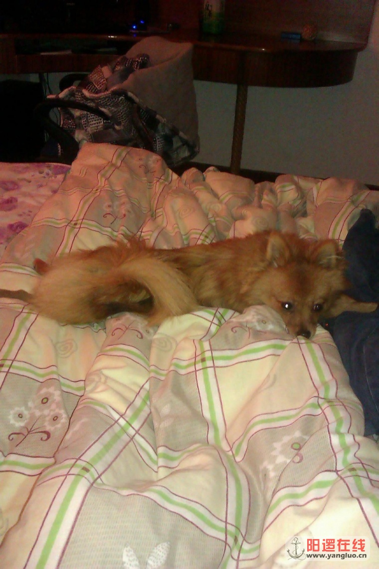 IMAG0687.jpg