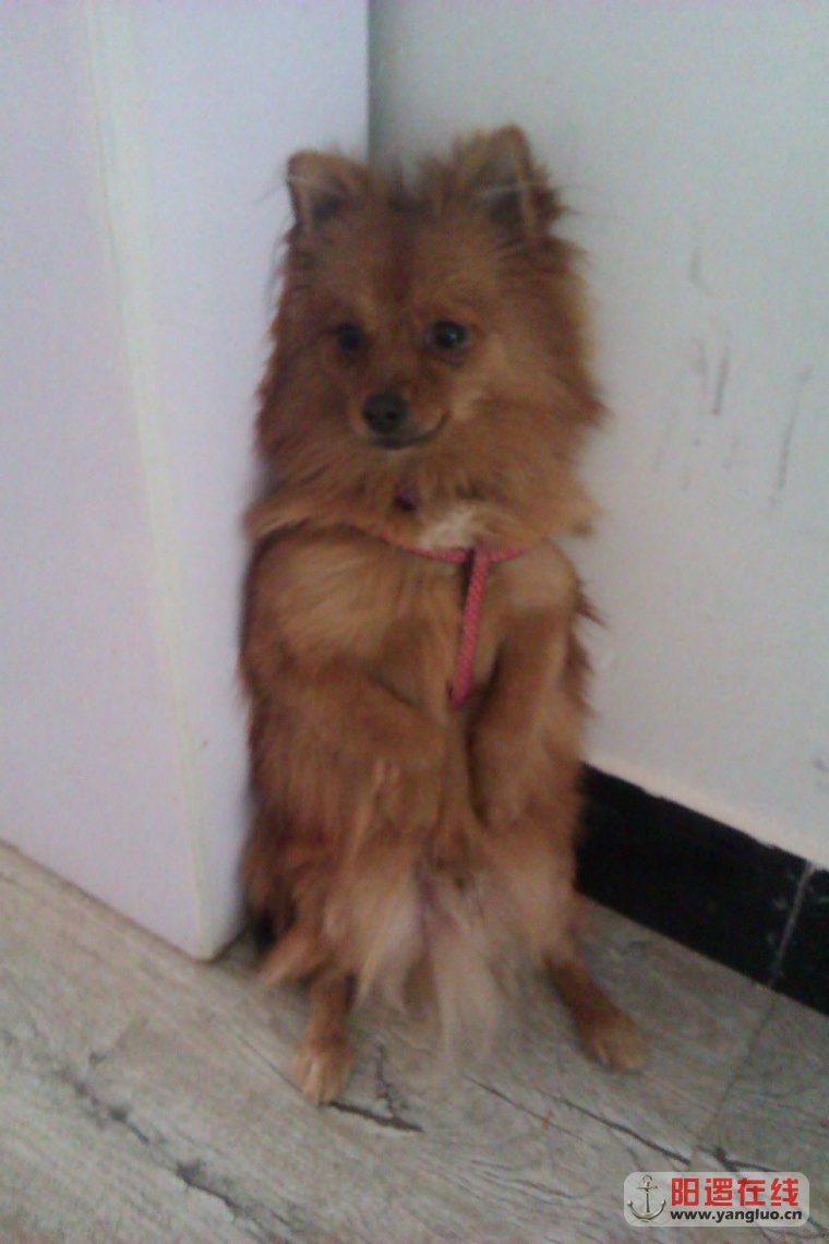 IMAG0698.jpg