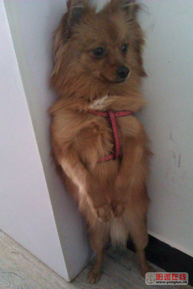 IMAG0699.jpg