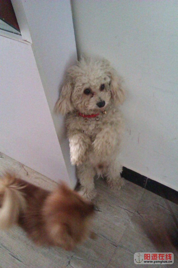 IMAG0701.jpg