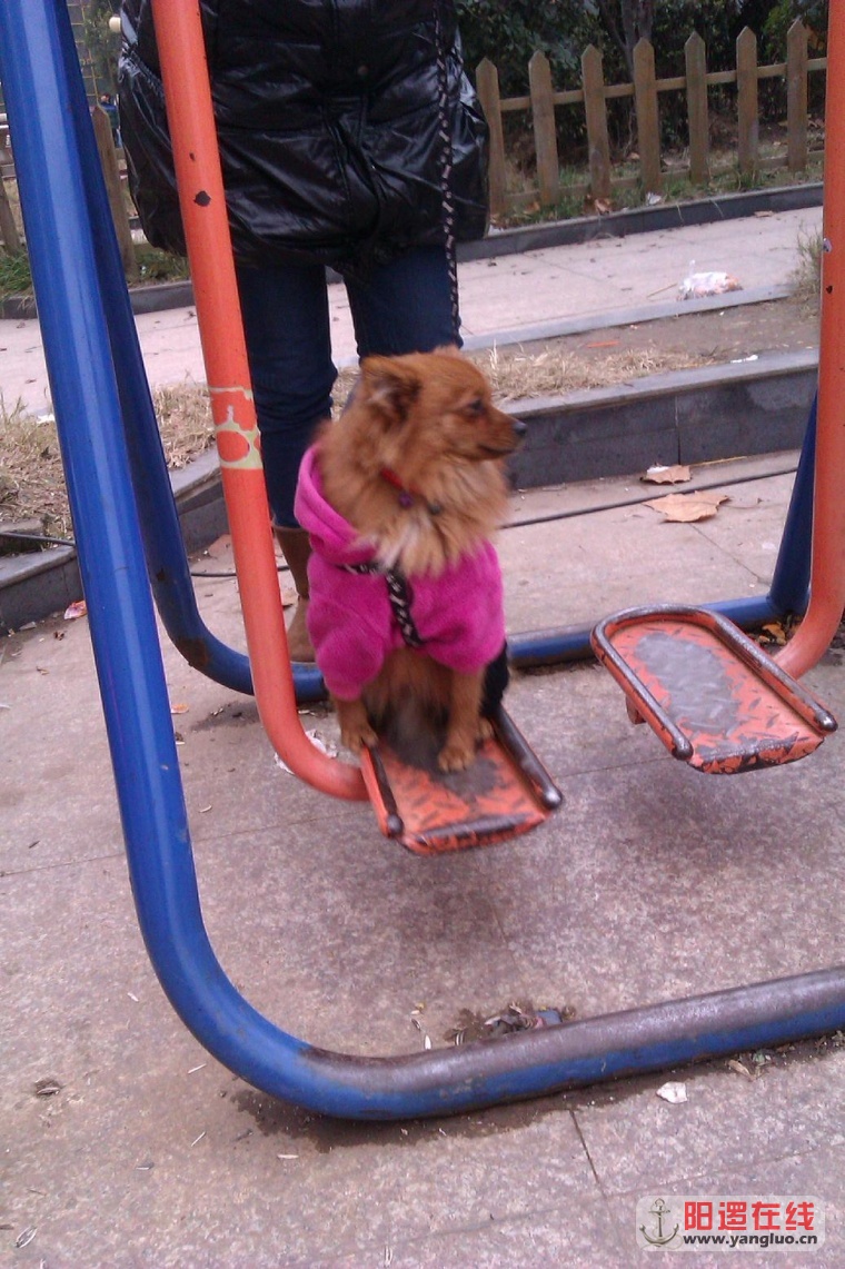 IMAG0705.jpg
