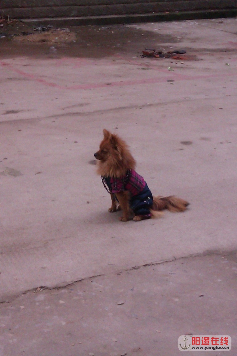 IMAG0719.jpg