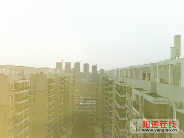 调整大小 照片 044.jpg