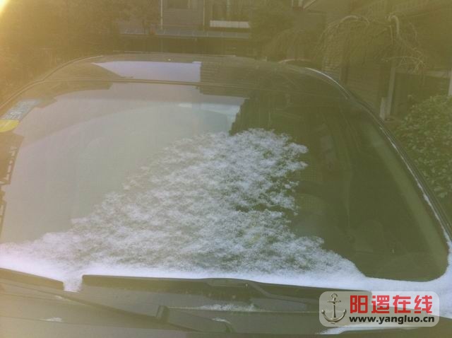 调整大小 照片 050.jpg