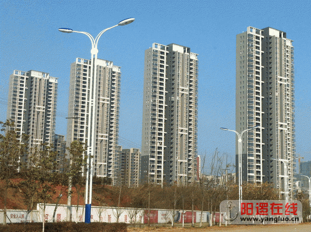 调整大小 照片 153.gif
