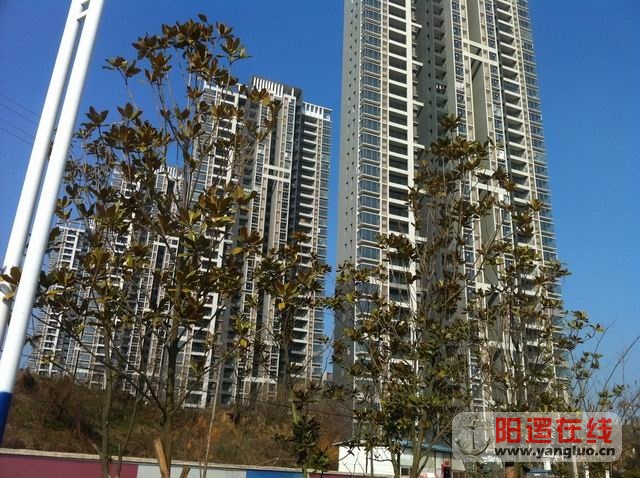 调整大小 照片 157.jpg
