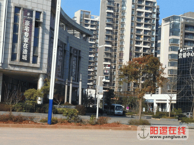 调整大小 照片 165.gif