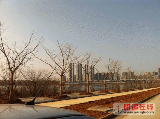 调整大小 照片 168.gif