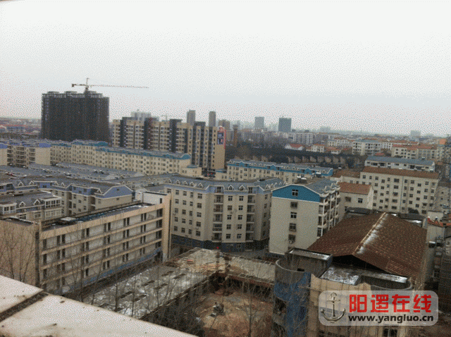 调整大小 照片 067.gif