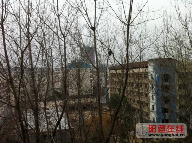 调整大小 照片 076.jpg