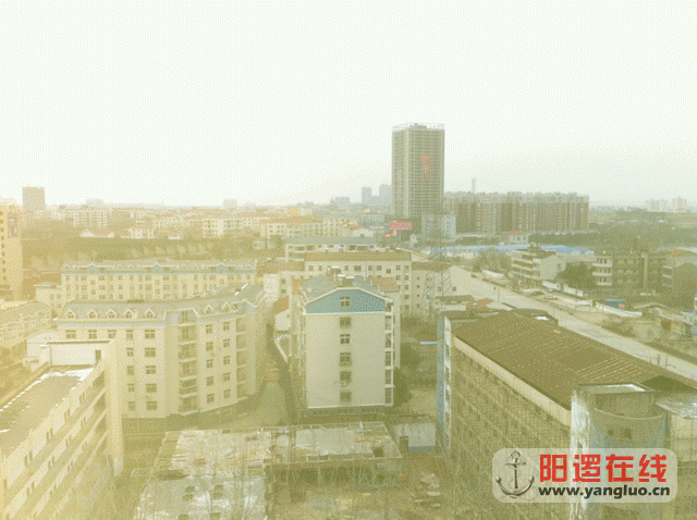 调整大小 照片 031.gif