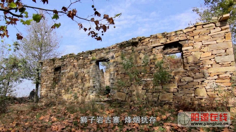70.jpg