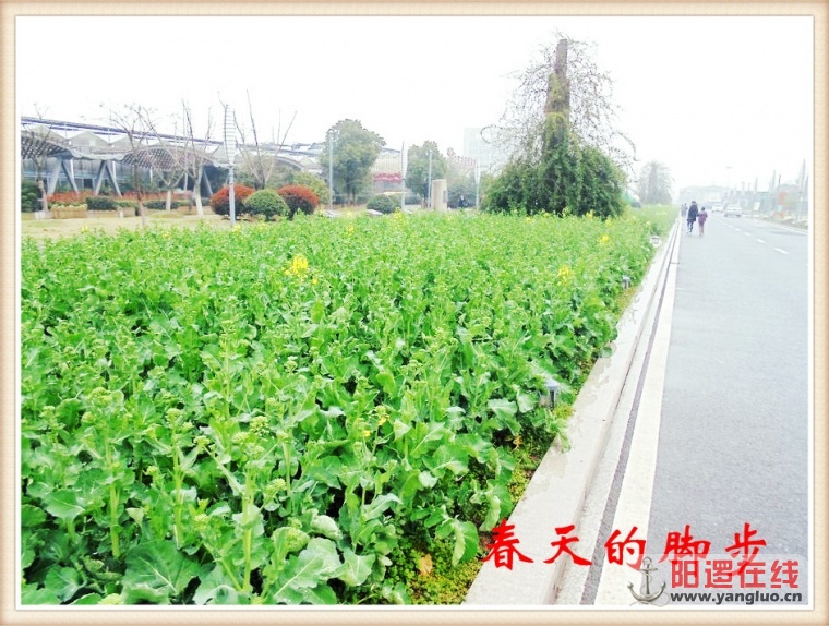 123_副本.jpg