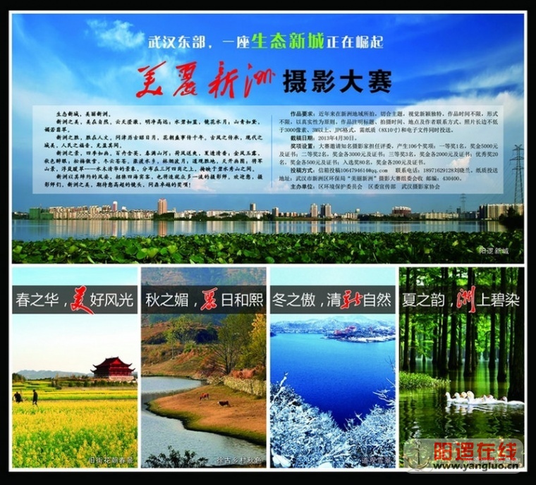 新洲摄影大赛.jpg