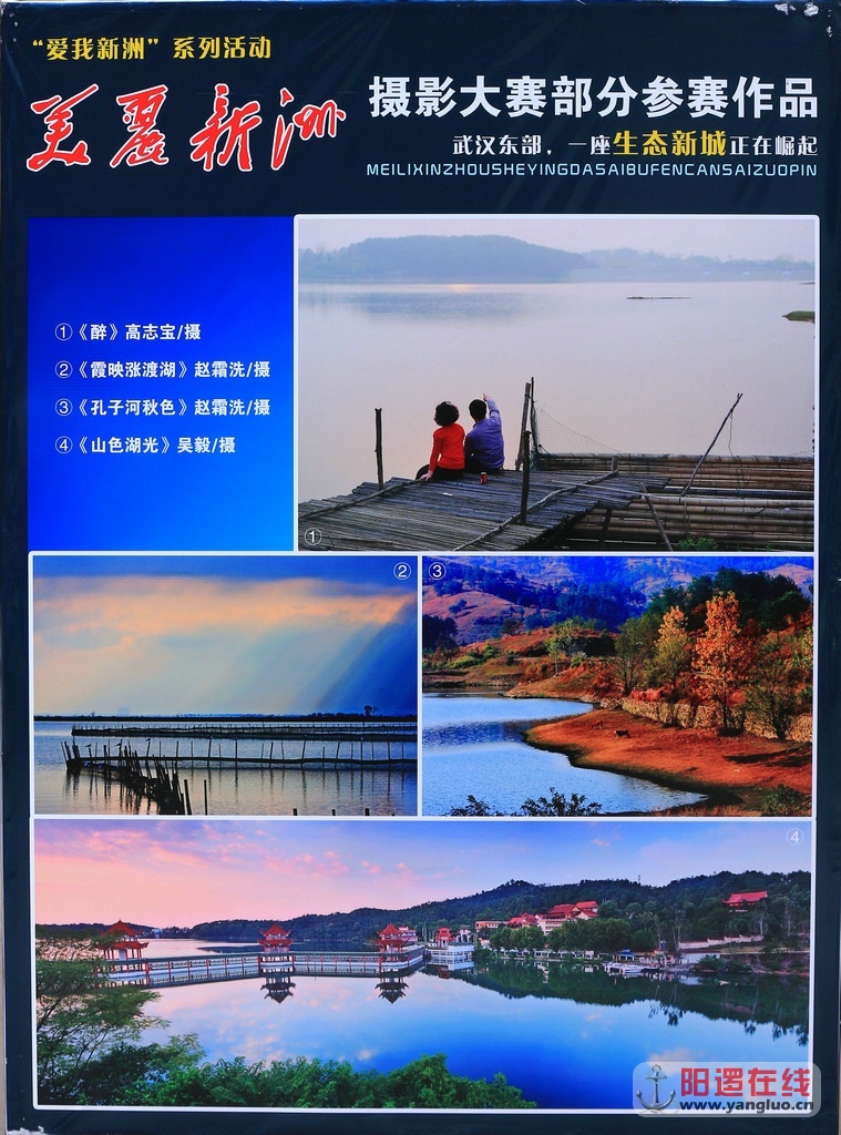 美丽新洲摄影大赛征稿中1.jpg