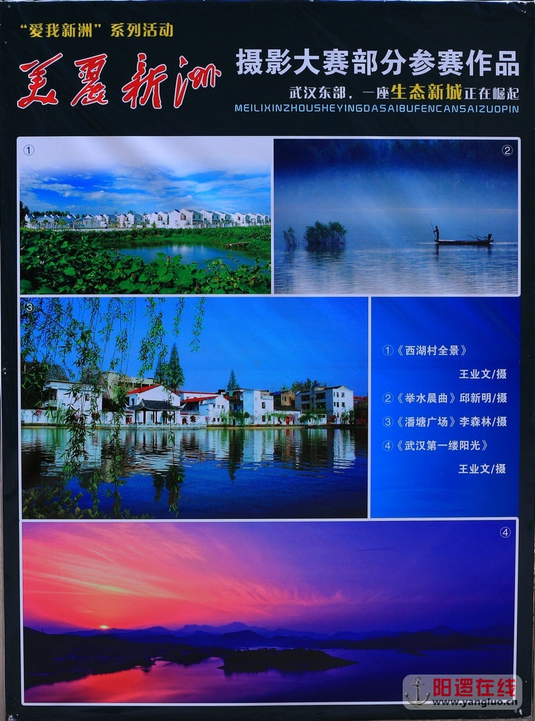 美丽新洲摄影大赛征稿中2.jpg