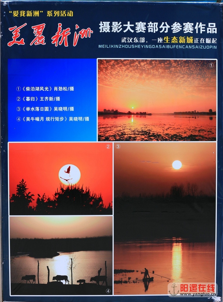 美丽新洲摄影大赛征稿中3.jpg