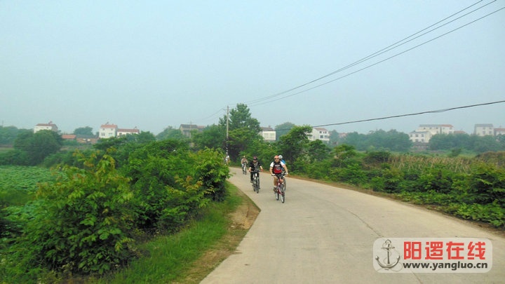 DSCN5395.jpg