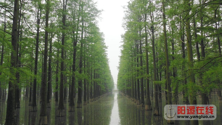 DSCN5414.jpg