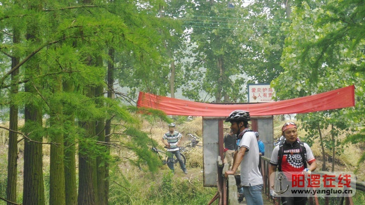 DSCN5412.jpg