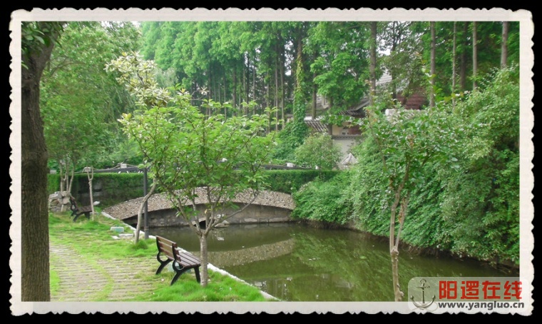 SANY0120_副本.jpg