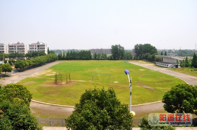 DSC_0306.JPG
